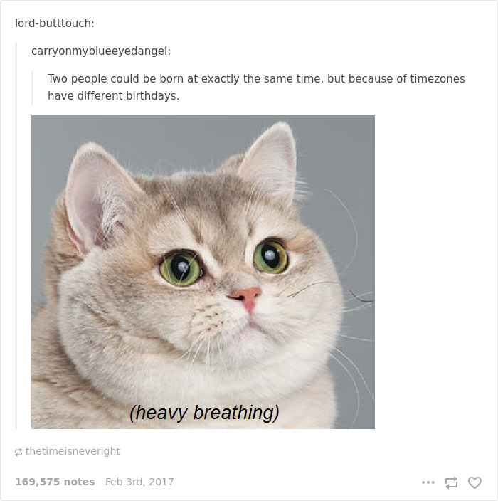 Gotta Love Paradoxes