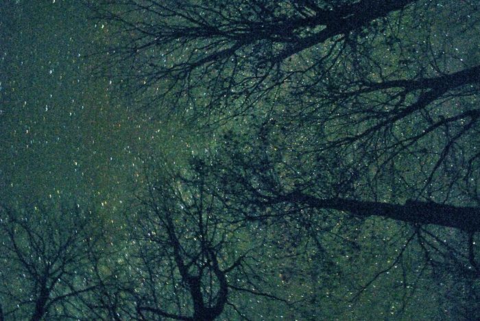 Nasa Discovered 7 New Earthlike Planets Up There, And We Still Aren't Mature Enough To Share The Bathrooms? #transgendered Rights