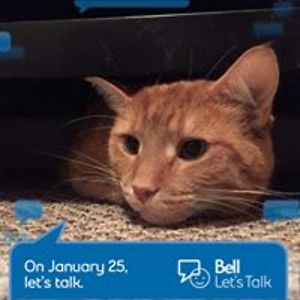 bethanie_brock avatar