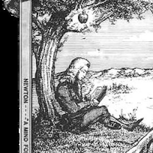 iamgvdliashvili avatar