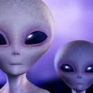 athenaalp3863 avatar