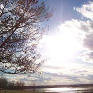 circuitprotector avatar