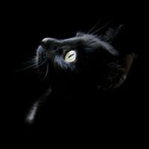 daisyquintero1209 avatar