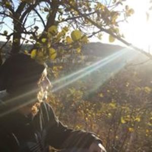 wademwbarnard avatar