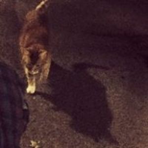 wizardsleeves23 avatar