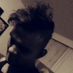 malleus_daemonum avatar