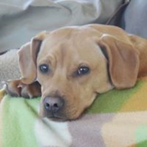 krazzykat4314 avatar