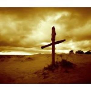 angelinawilkins52 avatar