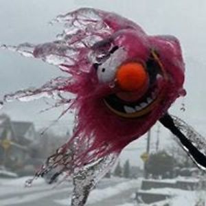 solitary_hawk avatar