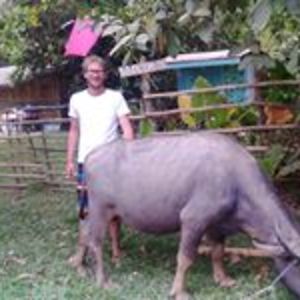 nicolas_calmon avatar