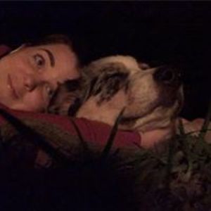 suzi-mitchell avatar