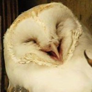 tereza_zavrelova avatar