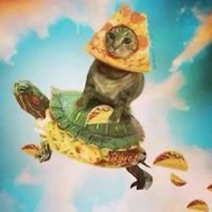 thedinorawrzz avatar