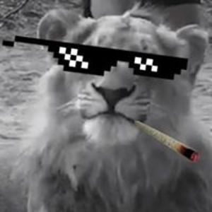 angel_goddess_belldandy avatar