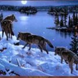 rizanne_rogue avatar