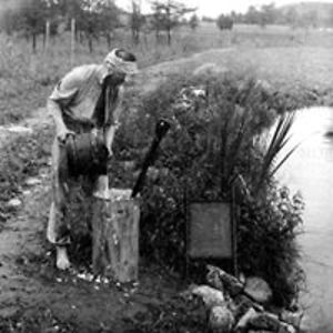 lanochedeltatu avatar