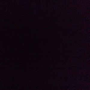 harambematters avatar