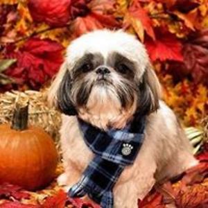 26king_barbarae avatar