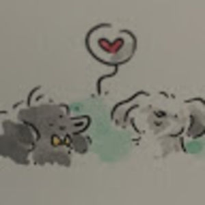 channingcarter avatar