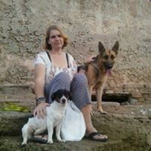 lancelotrider avatar