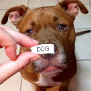 meowmeow22kitty avatar