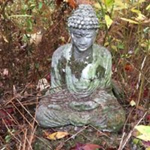 suzan_wentworth avatar