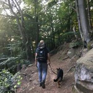 foxyguyfoxyguy avatar