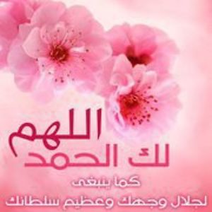 asma_saloom avatar