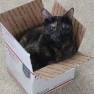 explicitinformant avatar