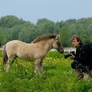 raymond_schrave avatar