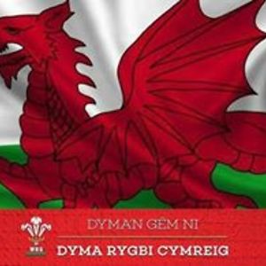 stharris_1974 avatar