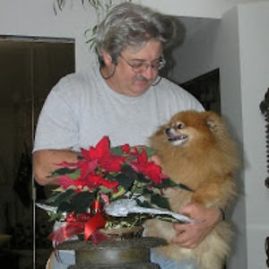 josephefasciani avatar