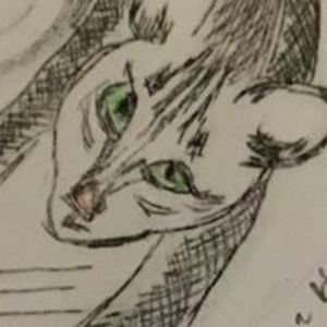 ckarr-hamilton avatar