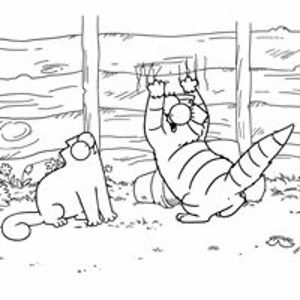 sarahsapumpkin avatar