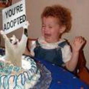 draco_wolf555 avatar