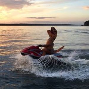 angie_applegate avatar