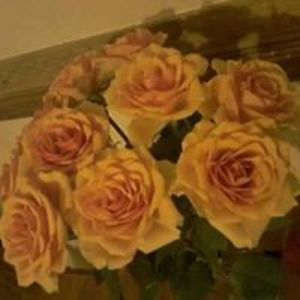 agata_lipowska avatar