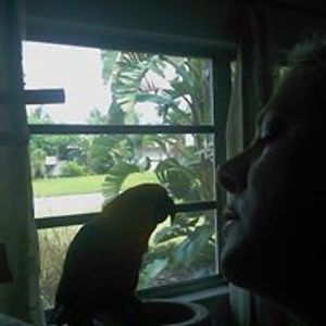 debbieorifici avatar