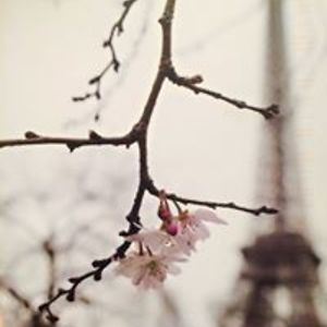 sufferingartist2000 avatar