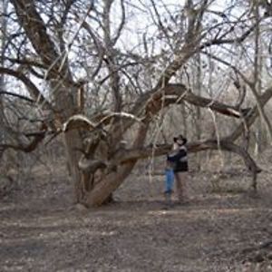 alicealittle23 avatar