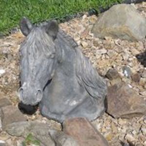 linneainskip267 avatar