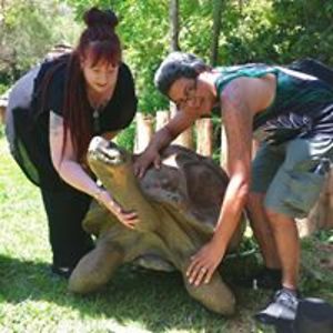 silverwitch73 avatar