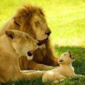 jaredbasques112 avatar