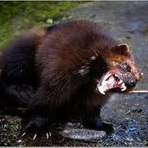 dorothybishopwinford avatar