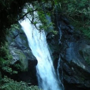 nicholelauramore avatar