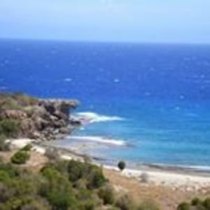 boxerrebellion1 avatar