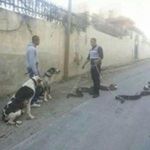 karel_blechta avatar