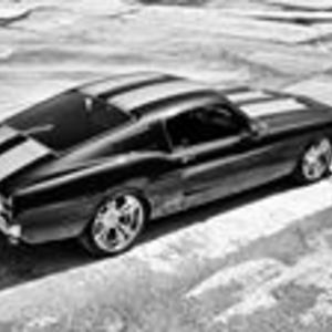 themaverick21 avatar