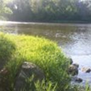 don_mcnaughton avatar