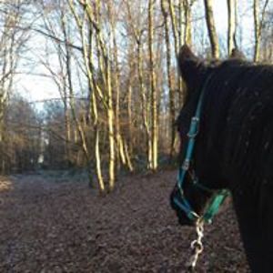 katrina_oconnor avatar